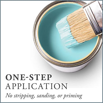 Chalk Based One Step Paint for Furniture (32 Ounce)