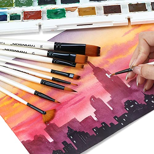 Paint Brush Kit 10pcs Art Brushes and 1 Paint Spatula with Brush Case