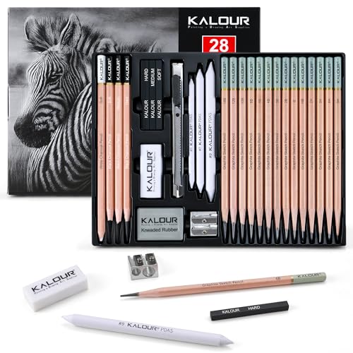 28 Pro Sketching Drawing Pencils Set (28 Count)