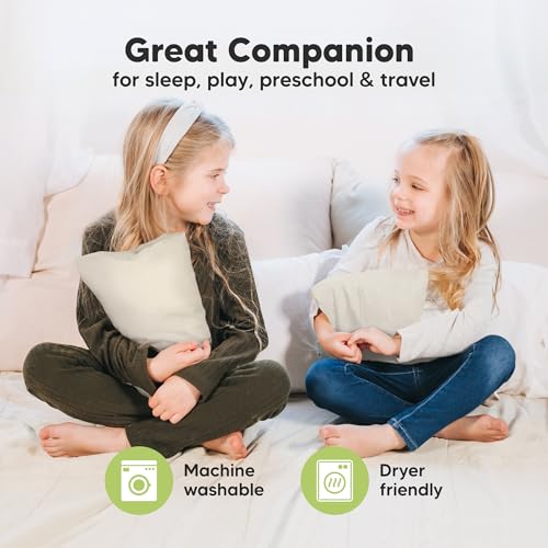 Mini Toddler Pillow with Pillowcase