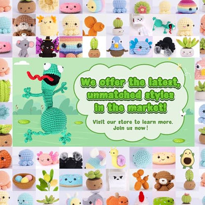Crochet Kit for Beginners