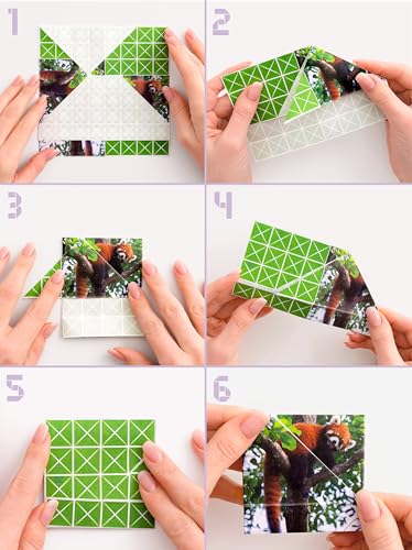 The Origami Puzzle Game! Brain Teasers for Tweens (100 Count)