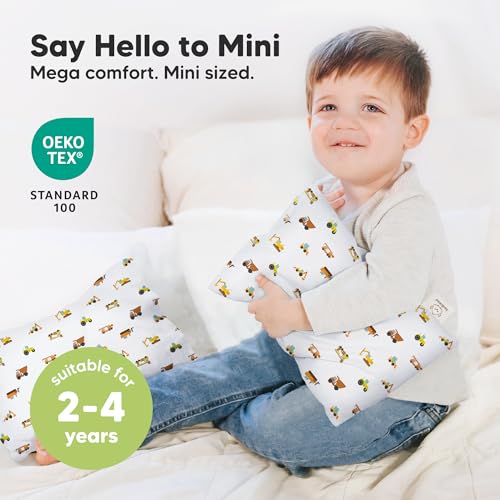 Mini Toddler Pillow with Pillowcase