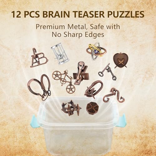 12Pcs Brain Teaser Puzzles for Adults and Teens (12 Count)