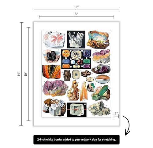 Vintage Geology Canvas