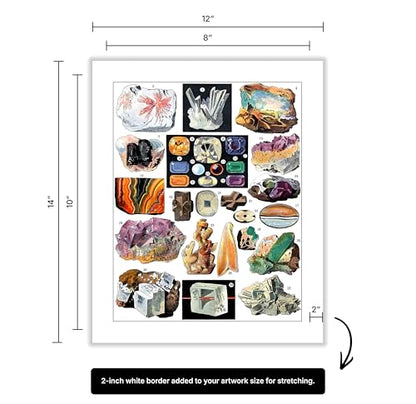 Vintage Geology Canvas