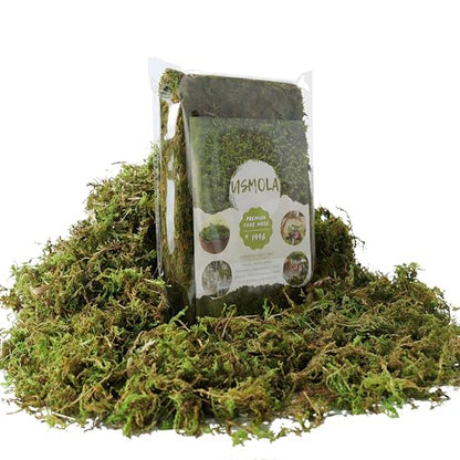 Fake Green Moss for Potted Plants (40 Ounce)