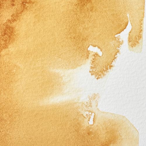 Professional Watercolor