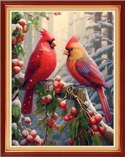Beginners Cross Stitch Kits Stamped Full Range of Embroidery Kits for Adults DIY Cross Stitches kit Embroidery Patterns for Needlepoint kit
