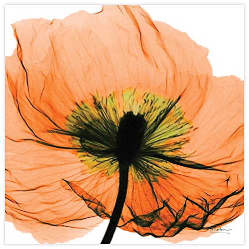 Frameless Free Floating Tempered Glass Panel Graphic Wall Art Ready to Hang