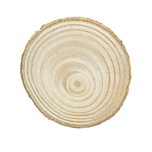 Mini Assorted Size Natural Color Tree Bark Wood Slices Round Log Discs for Arts & Crafts (20 Count)