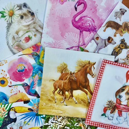 Mystery Pack Decoupage Paper Napkins (20 Count)
