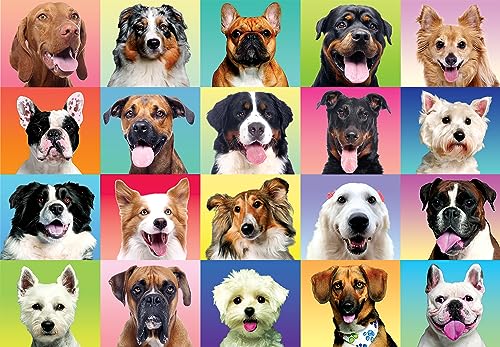 300 pcs Multicolor Dog Puzzles (300 Count)