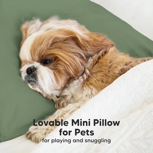 Mini Toddler Pillow with Pillowcase