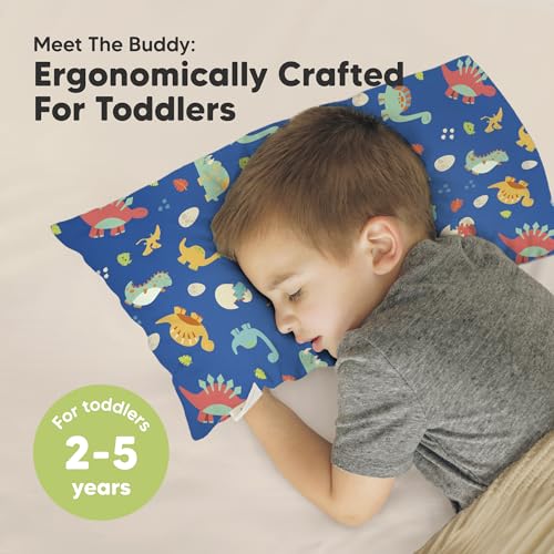 Toddler Pillow with Pillowcase