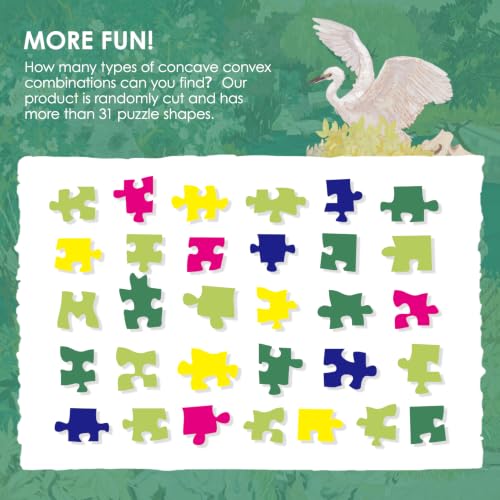 1000 Piece Puzzle for Adults Jigsaw Puzzles (1024 Count)