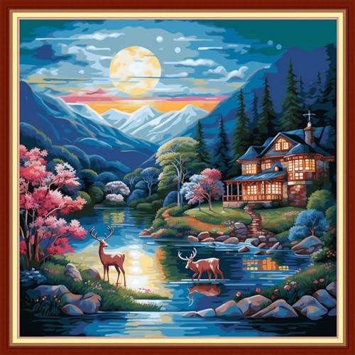 Cross Stitch Kits for Adults Beginners