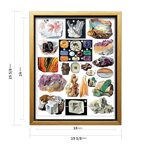 Vintage Geology Canvas