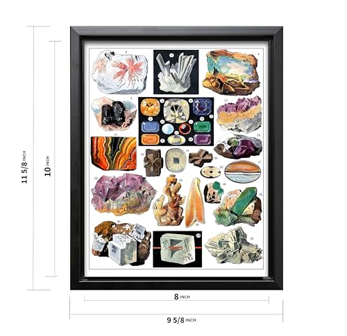 Vintage Geology Canvas