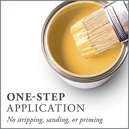 Chalk Based One Step Paint for Furniture (16 Fl Oz)