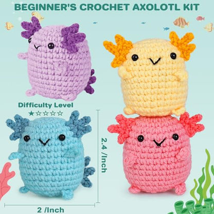 Crochet Kit for Beginners