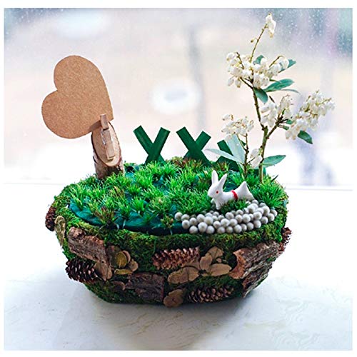 6 PCS Floral Foam Blocks