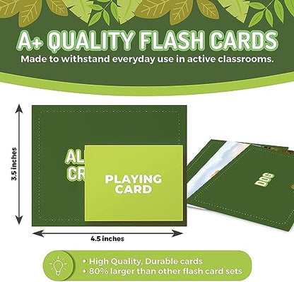 100 Animal Insect & Ocean Creatures Real Picture Flash Cards