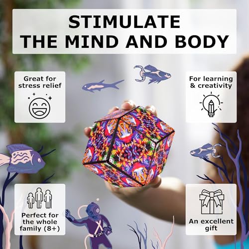 DODECA Magnetic Puzzle Cube