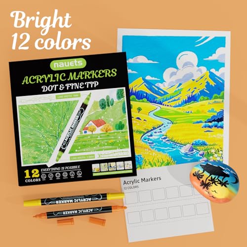 12 Colors Precision Dual Tip Acrylic Paint Markers Pens (12 Count)