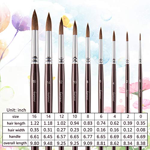 Sable Watercolor Brushes