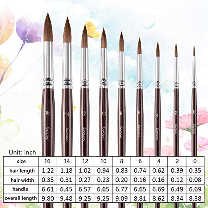 Sable Watercolor Brushes
