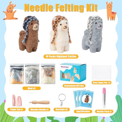 Needle Felting Kit