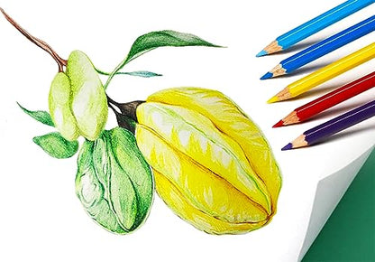 Colored Pencils (144 Count)