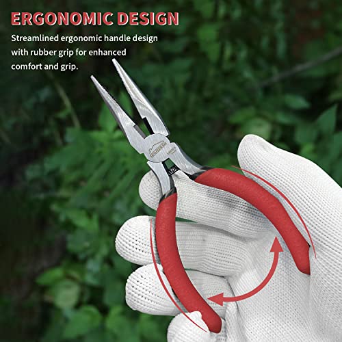 Needle Nose Pliers (10 Count)