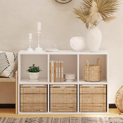 Wooden 6 Cube Storage Organizer with Closed Back Panel