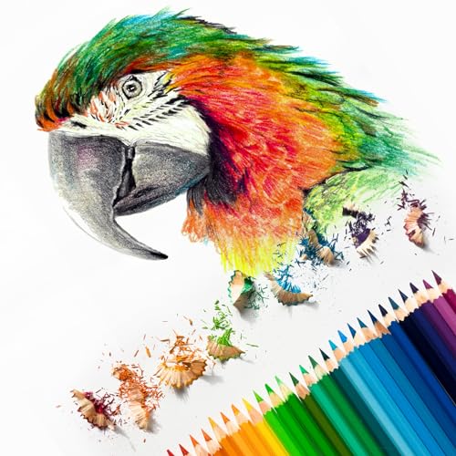 Watercolor Pencil (6 Count)