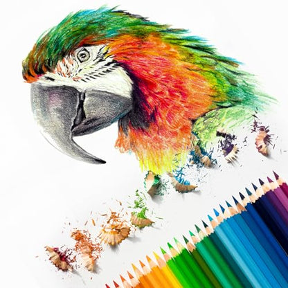 Watercolor Pencil (6 Count)