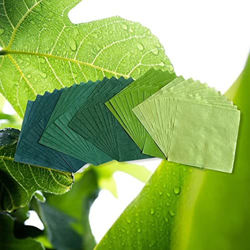 Natural Fiber Mulberry Paper Sheets 6 x 6 Inches (50 Count)