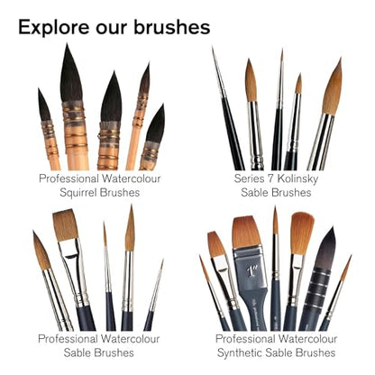 Professional Watercolor