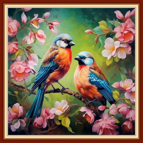 Stamped Cross Stitch Kits for Beginners