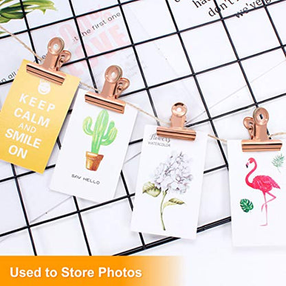 Bulldog Paper Clips Rose Gold (20 Count)