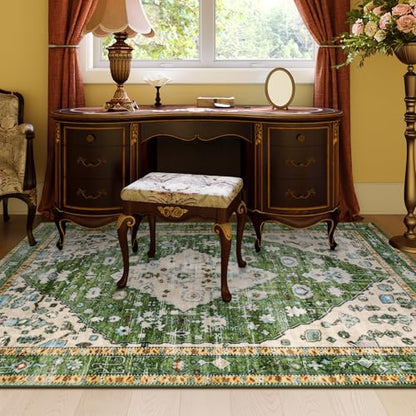 Felice Boho Tribal Area Rug
