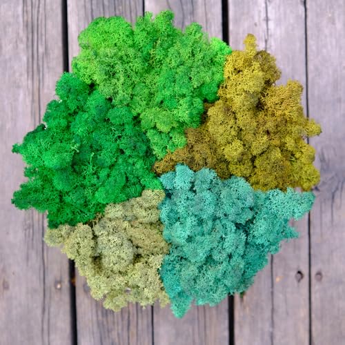 Preserved Reindeer Mix Craft Moss Natural Green DIY Kit Gardenning Art Wall Decor Florist Easter Table Decor Wedding Decor
