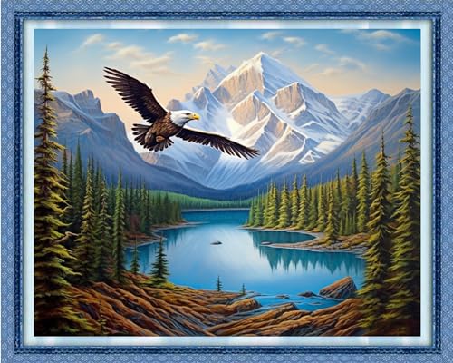 Cross Stitch Kits for Adults Beginners