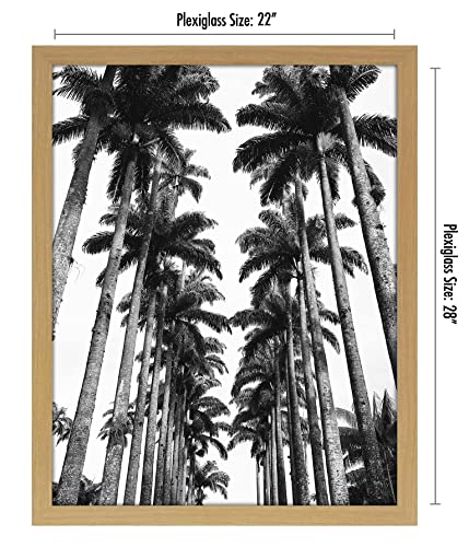 22x28 Poster Frame