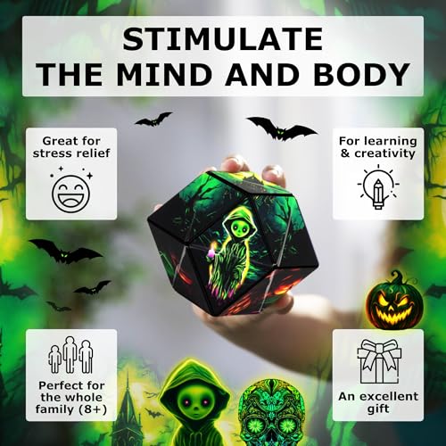 DODECA Magnetic Puzzle Cube