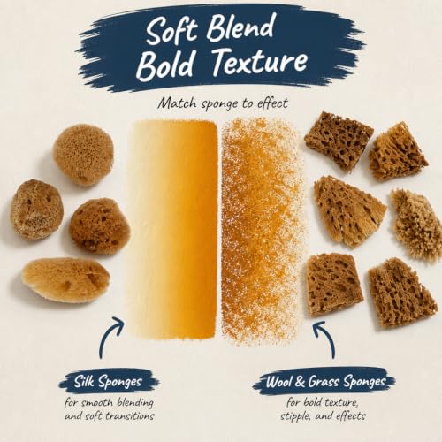 Natural Sea Sponges 10pk for Artists (10 Count)