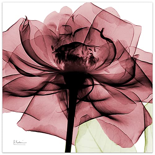 Frameless Free Floating Tempered Glass Panel Graphic Wall Art Ready to Hang