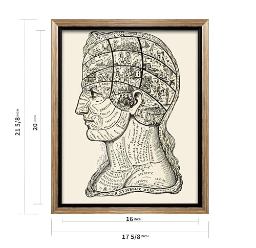 A Symbolic Head Phrenology Print 1899