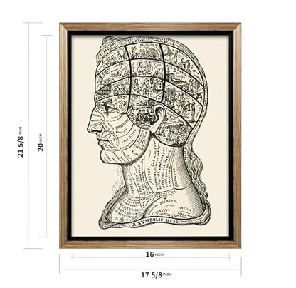 A Symbolic Head Phrenology Print 1899